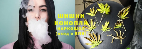PSILOCYBIN Лиски
