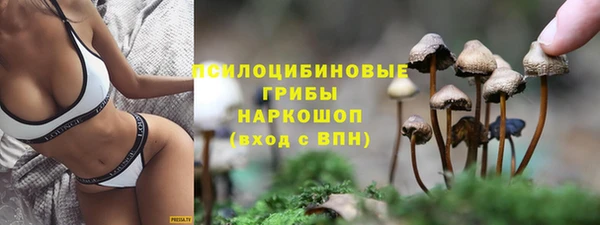 стафф Липки
