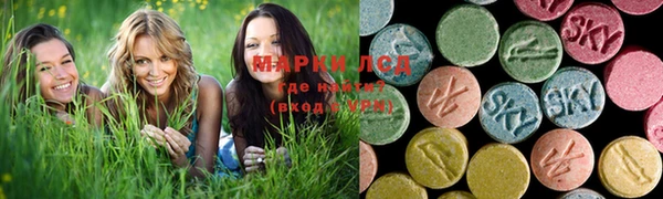 PSILOCYBIN Лиски